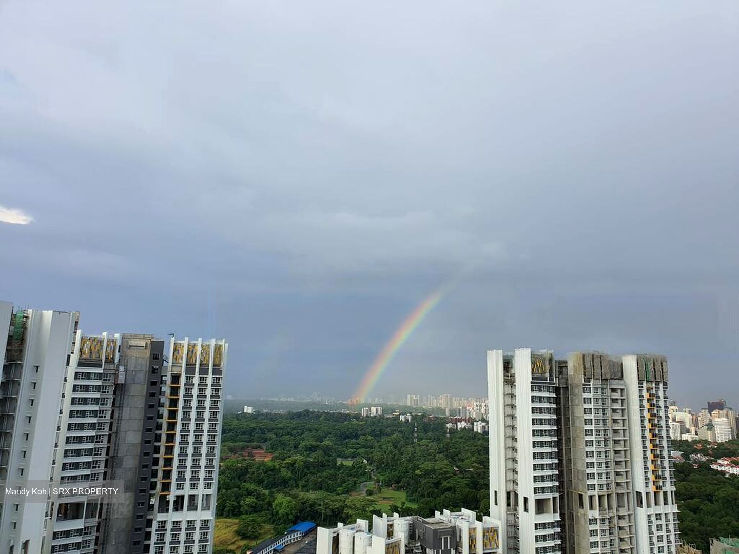 Commonwealth Towers (D3), Condominium #451126571